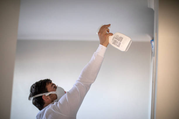 Best Residential Mold Removal  in Wallace, FL